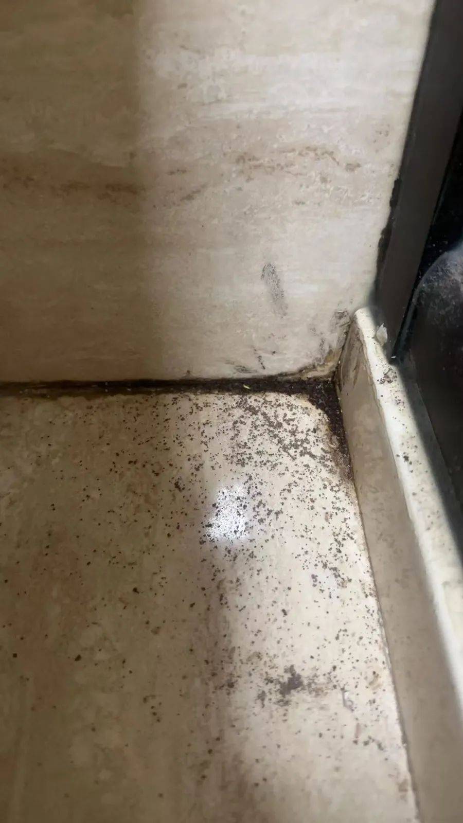 紧急提醒：瞬间爆发！上海市民崩溃：密密麻麻<strong></p>
<p>中石化中原油田</strong>，蠕蠕爬行...“梧桐区”已开始战斗，白蚁或提前分飞