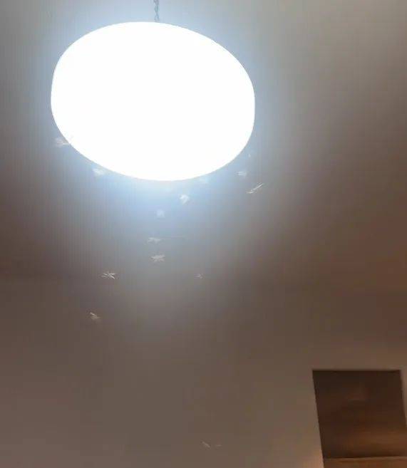 紧急提醒：瞬间爆发！上海市民崩溃：密密麻麻<strong></p>
<p>中石化中原油田</strong>，蠕蠕爬行...“梧桐区”已开始战斗，白蚁或提前分飞