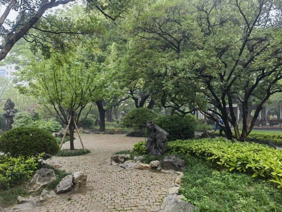 紧急提醒：瞬间爆发！上海市民崩溃：密密麻麻<strong></p>
<p>中石化中原油田</strong>，蠕蠕爬行...“梧桐区”已开始战斗，白蚁或提前分飞