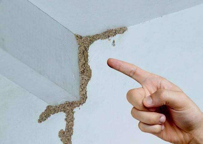 紧急提醒：瞬间爆发！上海市民崩溃：密密麻麻<strong></p>
<p>中石化中原油田</strong>，蠕蠕爬行...“梧桐区”已开始战斗，白蚁或提前分飞