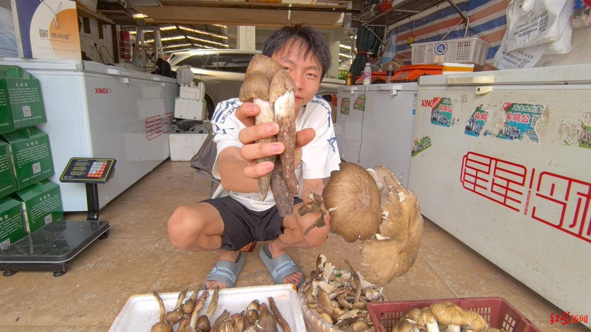 “天价”鸡枞调查:最贵卖到1800元/公斤!雨水少致产量低<strong></p>
<p>原油期货怎么样</strong>,多地价高客少