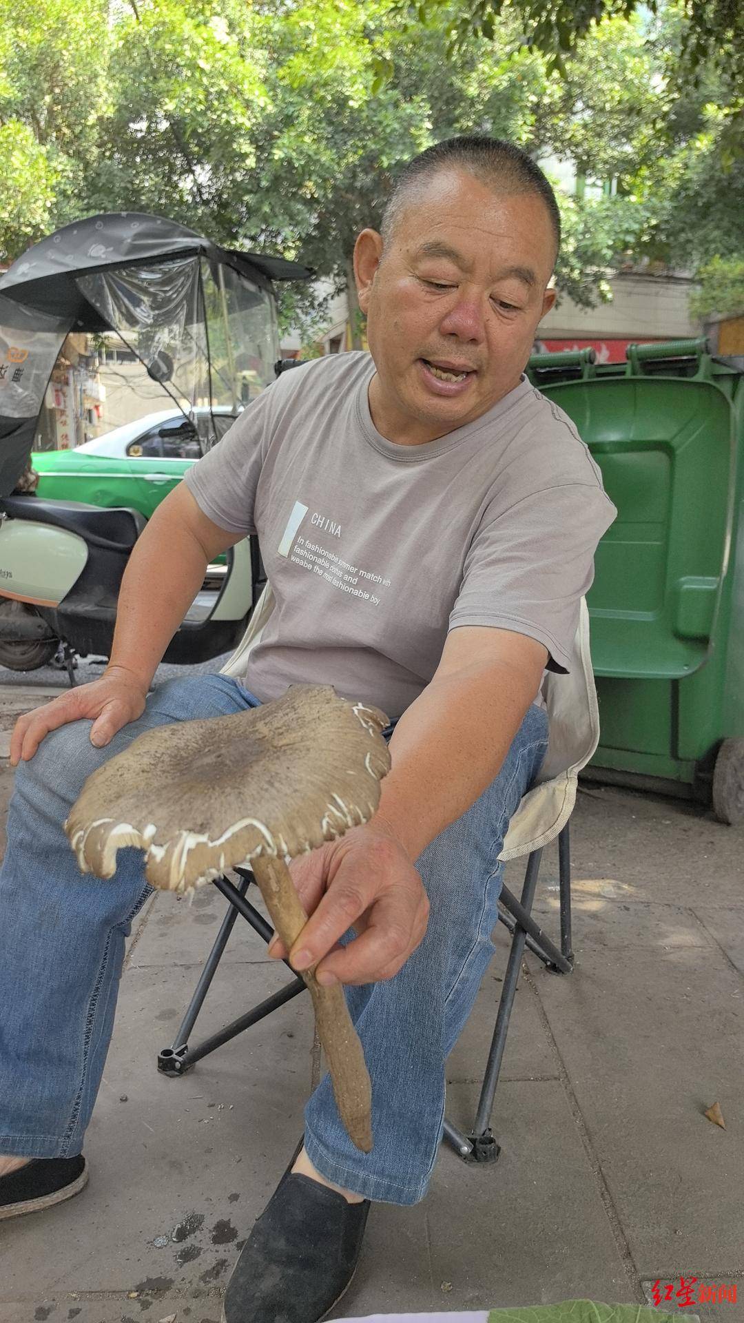 “天价”鸡枞调查:最贵卖到1800元/公斤!雨水少致产量低<strong></p>
<p>原油期货怎么样</strong>,多地价高客少