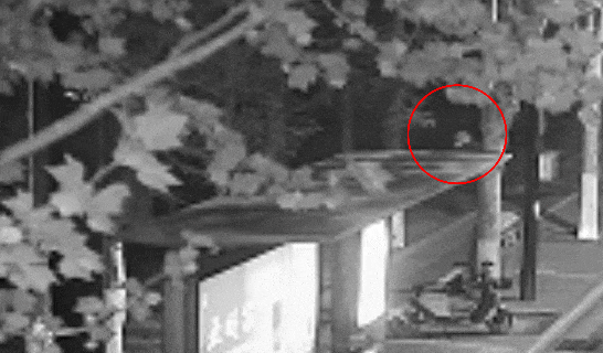 江苏一男子戴仿真“人皮”面具入室盗窃<strong></p>
<p>原油期货怎么样</strong>,流窜多个小区作案,涉案金额达15万余元