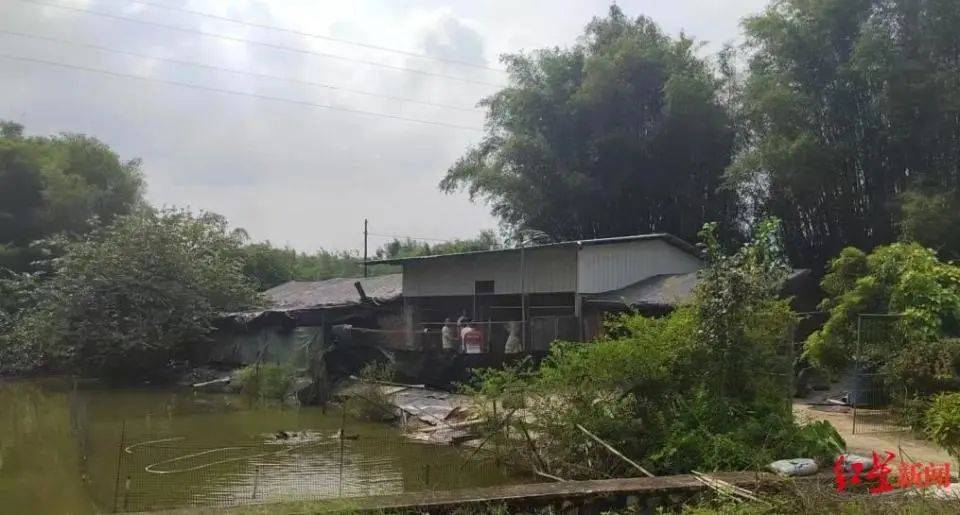 男子杀害母亲和女友后带嫂嫂潜逃32年落网<strong></p>
<p>原油期货怎么样</strong>,两人育有一儿一女,侦破细节披露