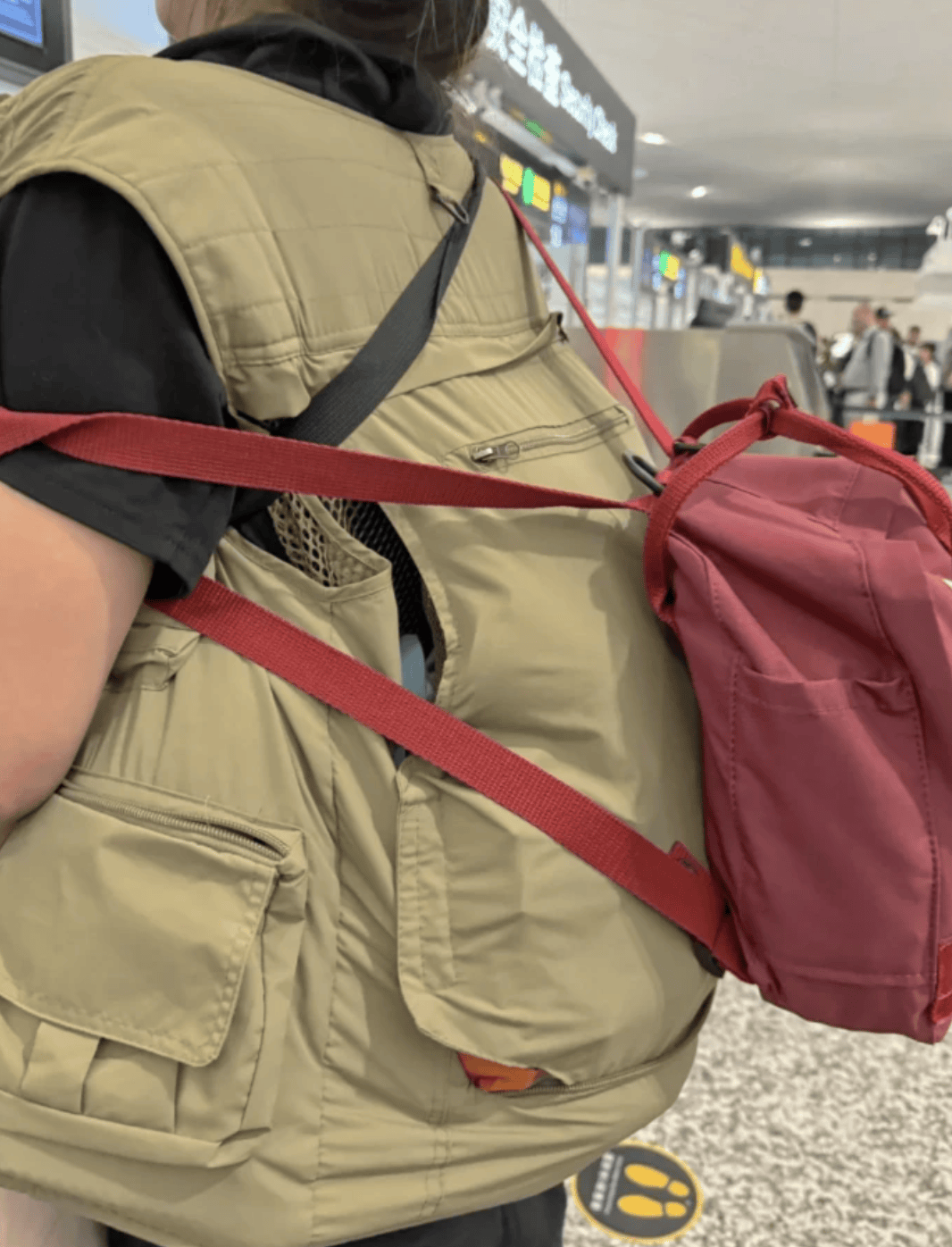 “坐飞机发现旁边放着冷链海鲜”<strong></p>
<p>原油期货怎么样</strong>,航空公司兼职送货给出差人整破防了