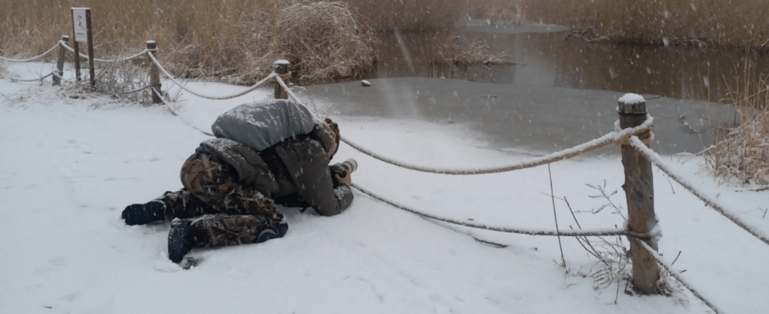 张瑜:我们所居住的北京<strong></p>
<p>国际原油下跌</strong>,是亲近自然的最佳场所