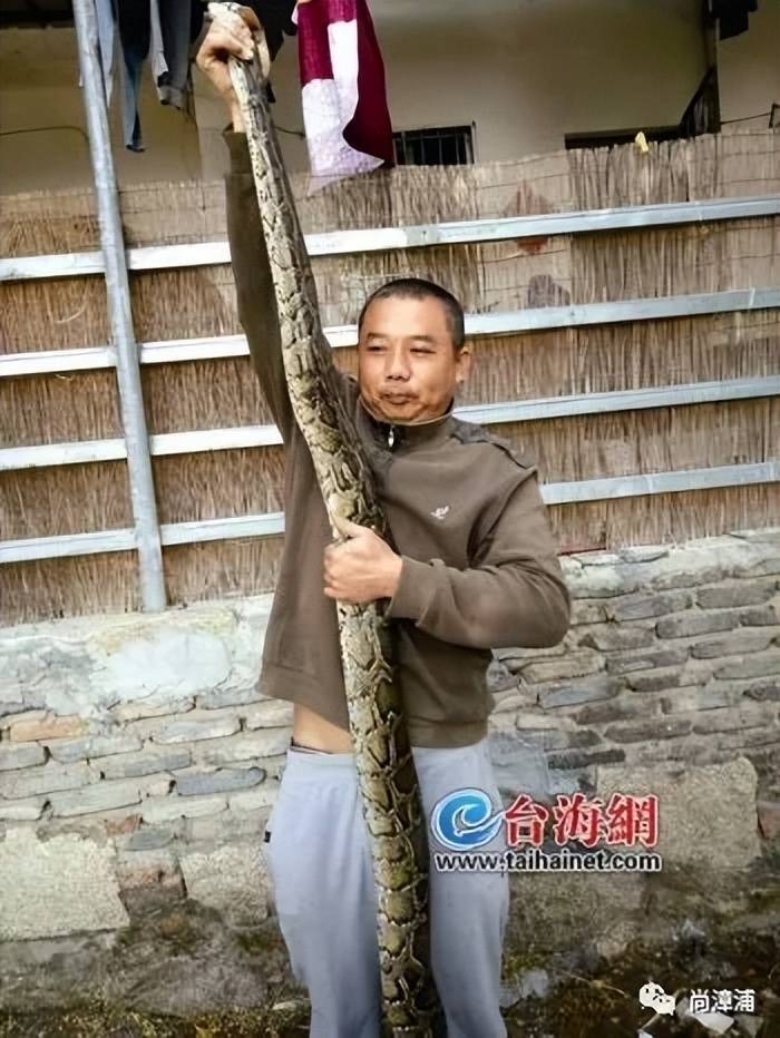 女游客疑被蛇咬伤身亡后<strong></p>
<p>原油喊单直播</strong>，博主“啊宝”讲毒蛇1天涨粉190万