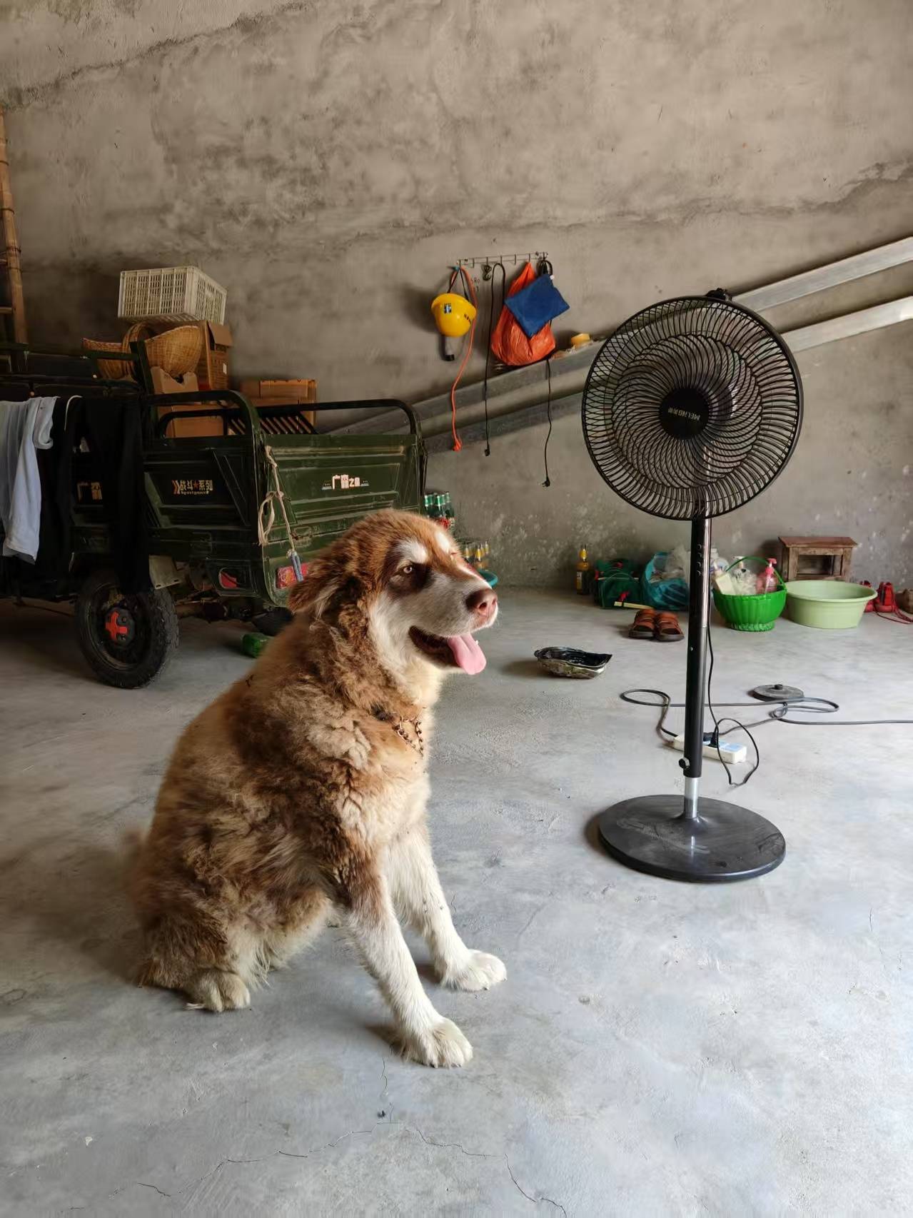 00后女孩醉驾时速174公里撞死3人<strong></p>
<p>原油论坛</strong>,逝者母亲:我每天都活在痛苦中