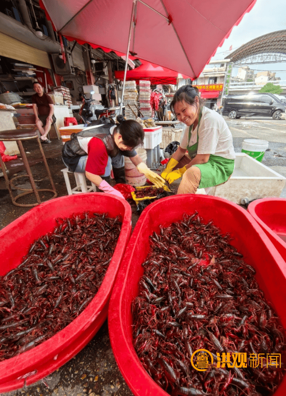 价格腰斩<strong></p>
<p>原油论坛</strong>!13元/斤!南昌正大量上市