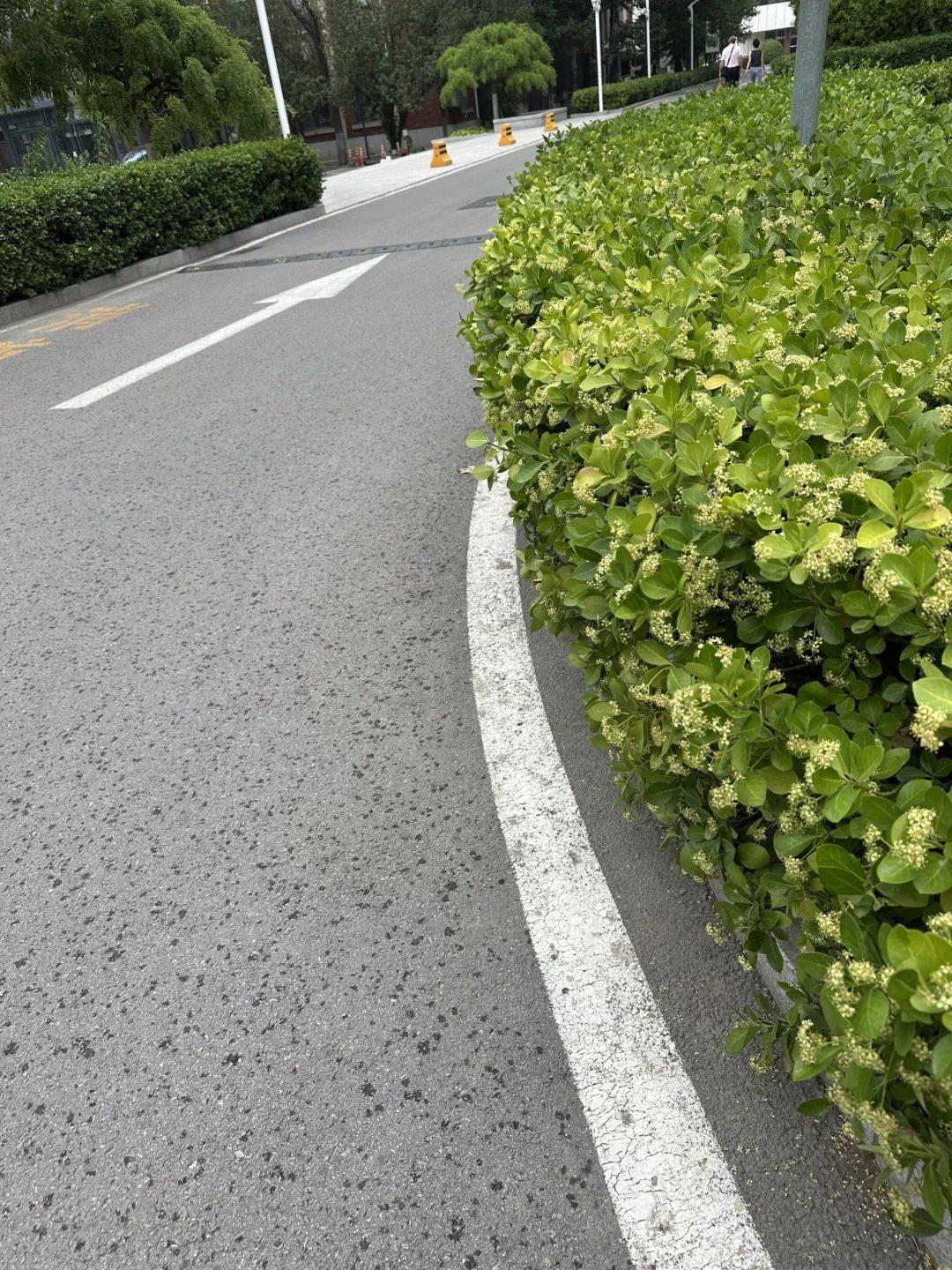 下雨了<strong></p>
<p>烃原油</strong>!天津接下来十天都是……