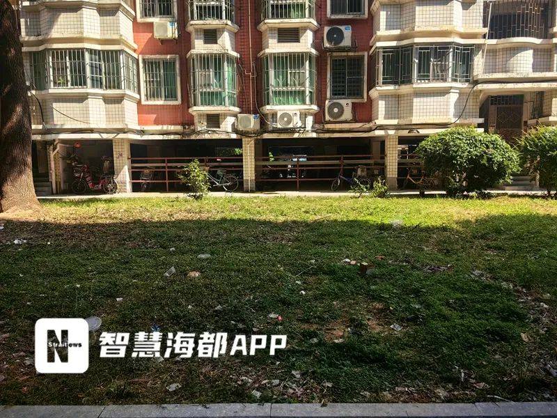 太恶心了!福州一小区业主崩溃:“有人高空抛屎<strong></p>
<p>原油实时走势图</strong>,溅得到处都是!”