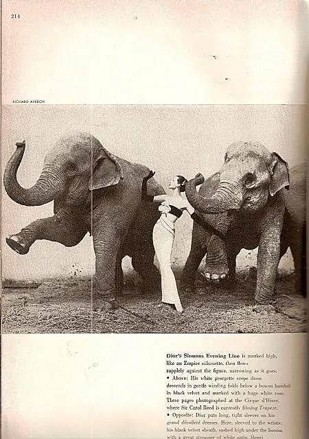 一个日本富二代<strong></p>
<p>布伦特原油走势</strong>,花7000万买了个二手铂金包,内幕是……