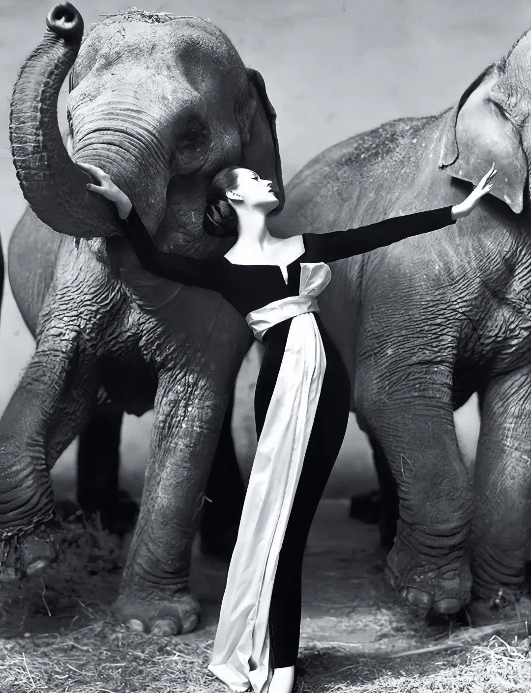 一个日本富二代<strong></p>
<p>布伦特原油走势</strong>,花7000万买了个二手铂金包,内幕是……