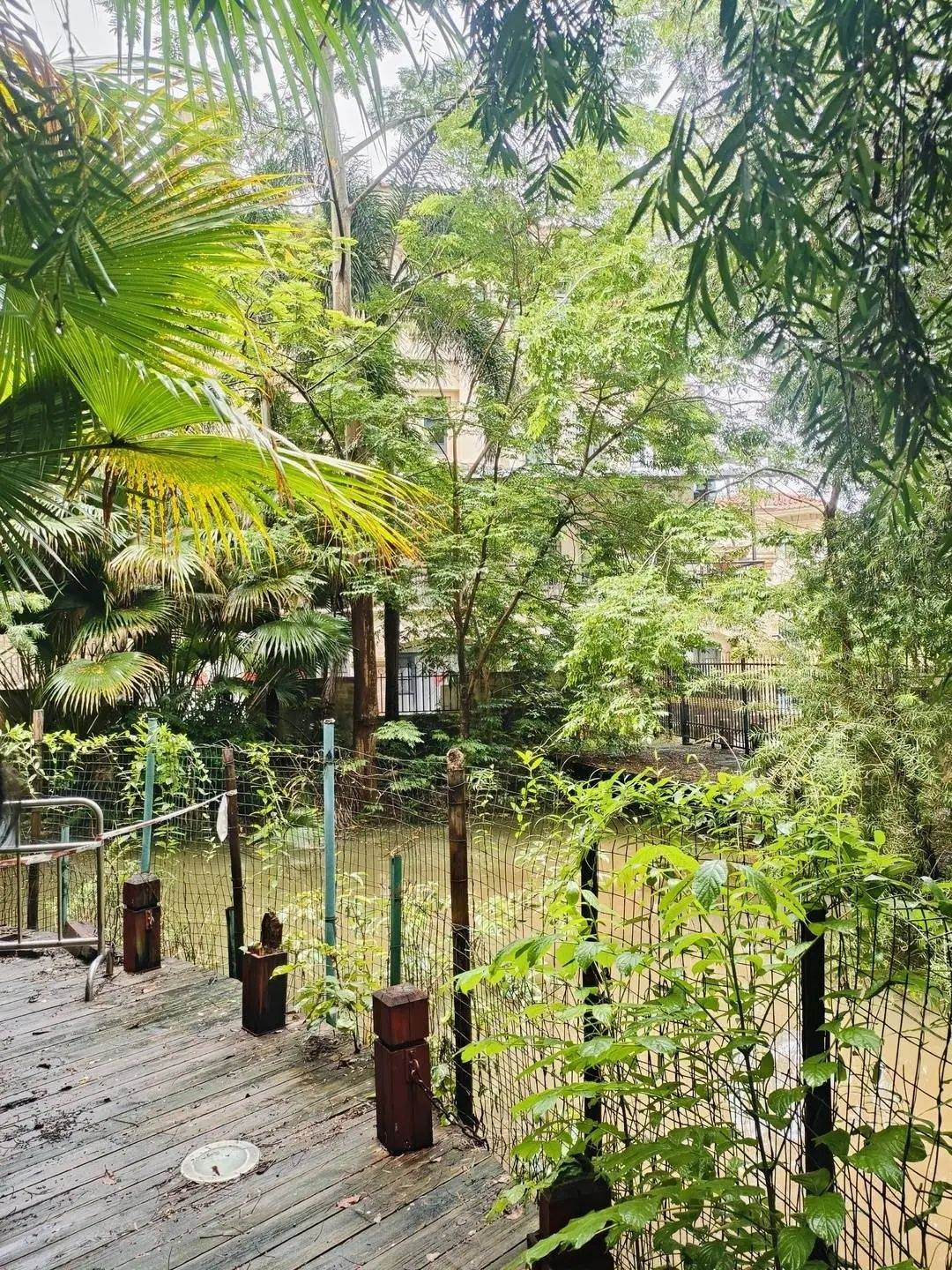 黄杨钿甜父母回应网络争议:“天价耳环”实际100多元<strong></p>
<p>沙特原油产量</strong>,别墅不是自家的,只是路过拍照