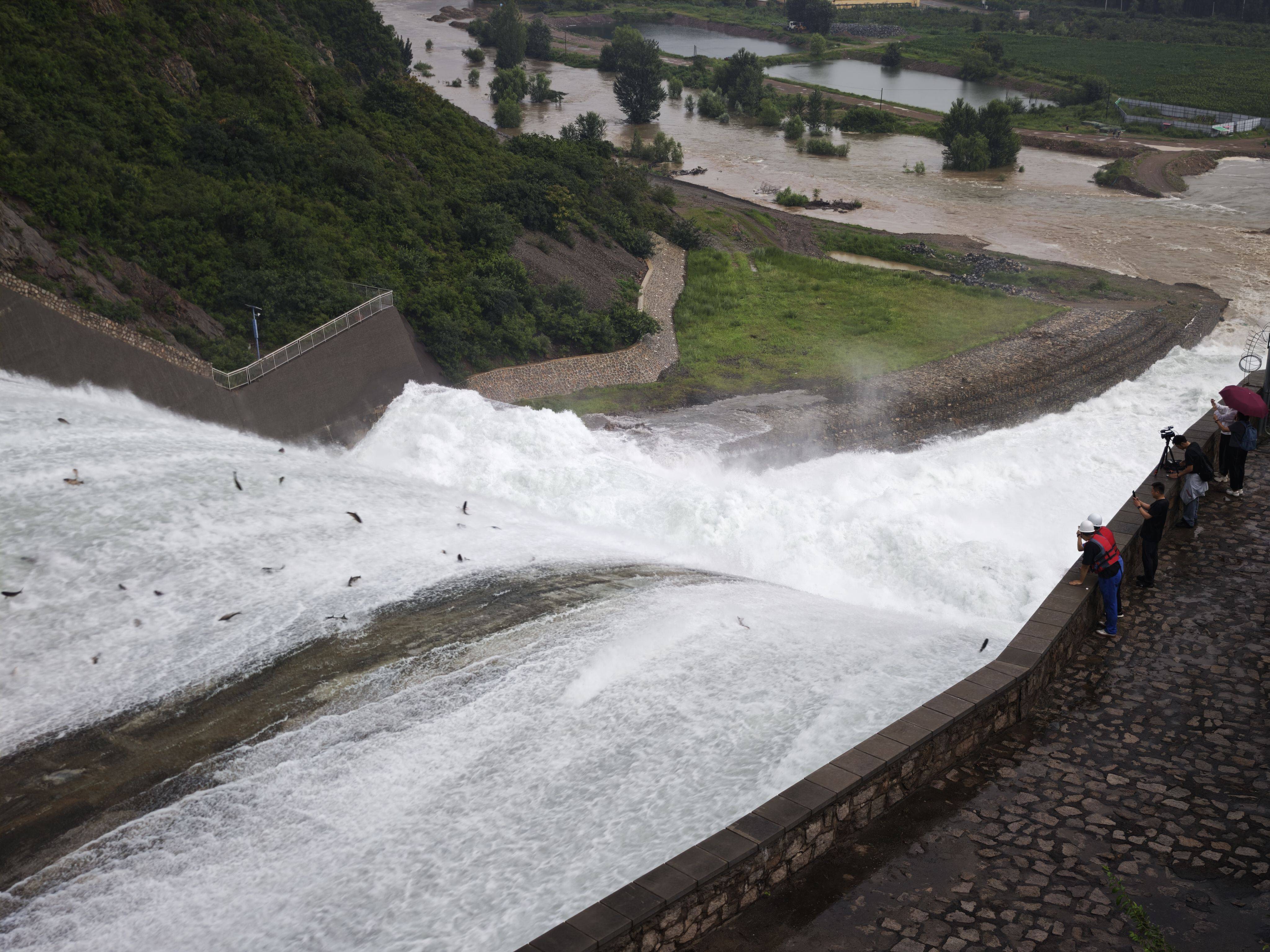 密云水库开闸泄流<strong></p>
<p>原油加热器</strong>,大量“水质卫士”鲢鳙顺流而下