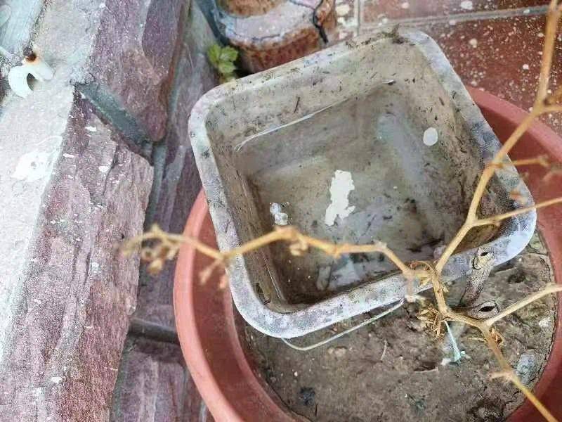 青岛疾控最新提醒：全民行动<strong></p>
<p>原油加热器</strong>！翻盆倒罐、清除积水！