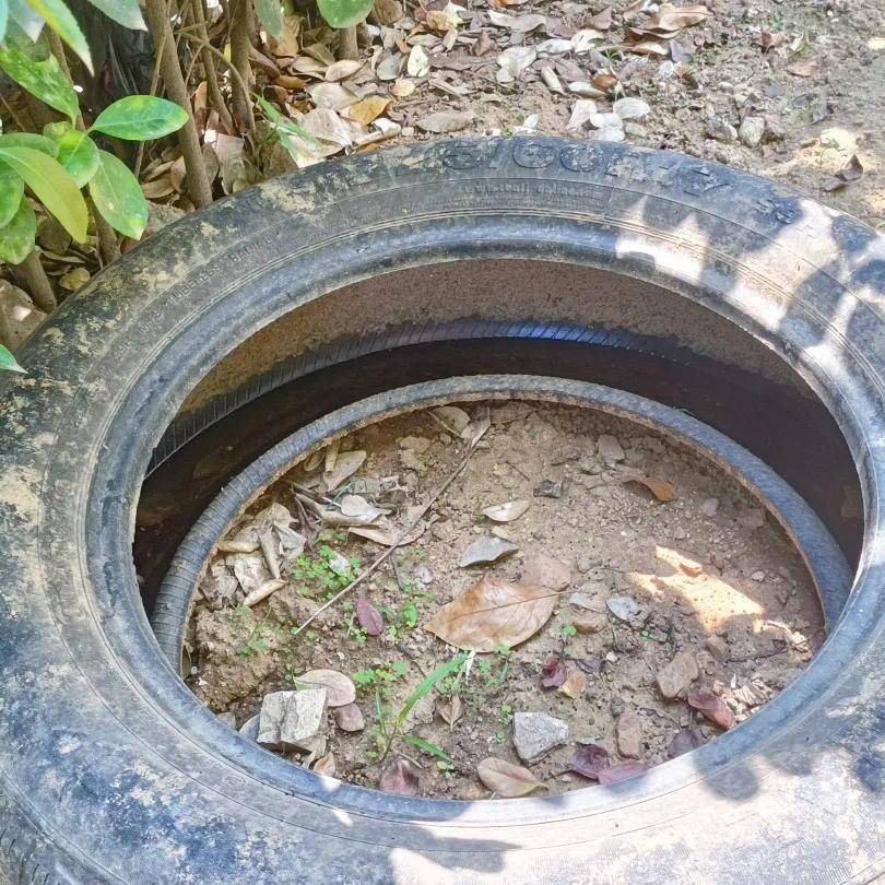 青岛疾控最新提醒：全民行动<strong></p>
<p>原油加热器</strong>！翻盆倒罐、清除积水！