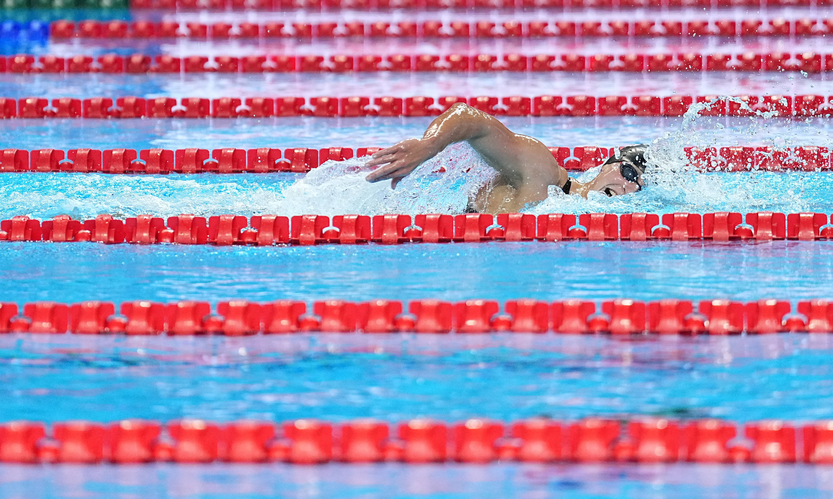 (游泳世锦赛)游泳——女子1500米自由泳决赛赛况