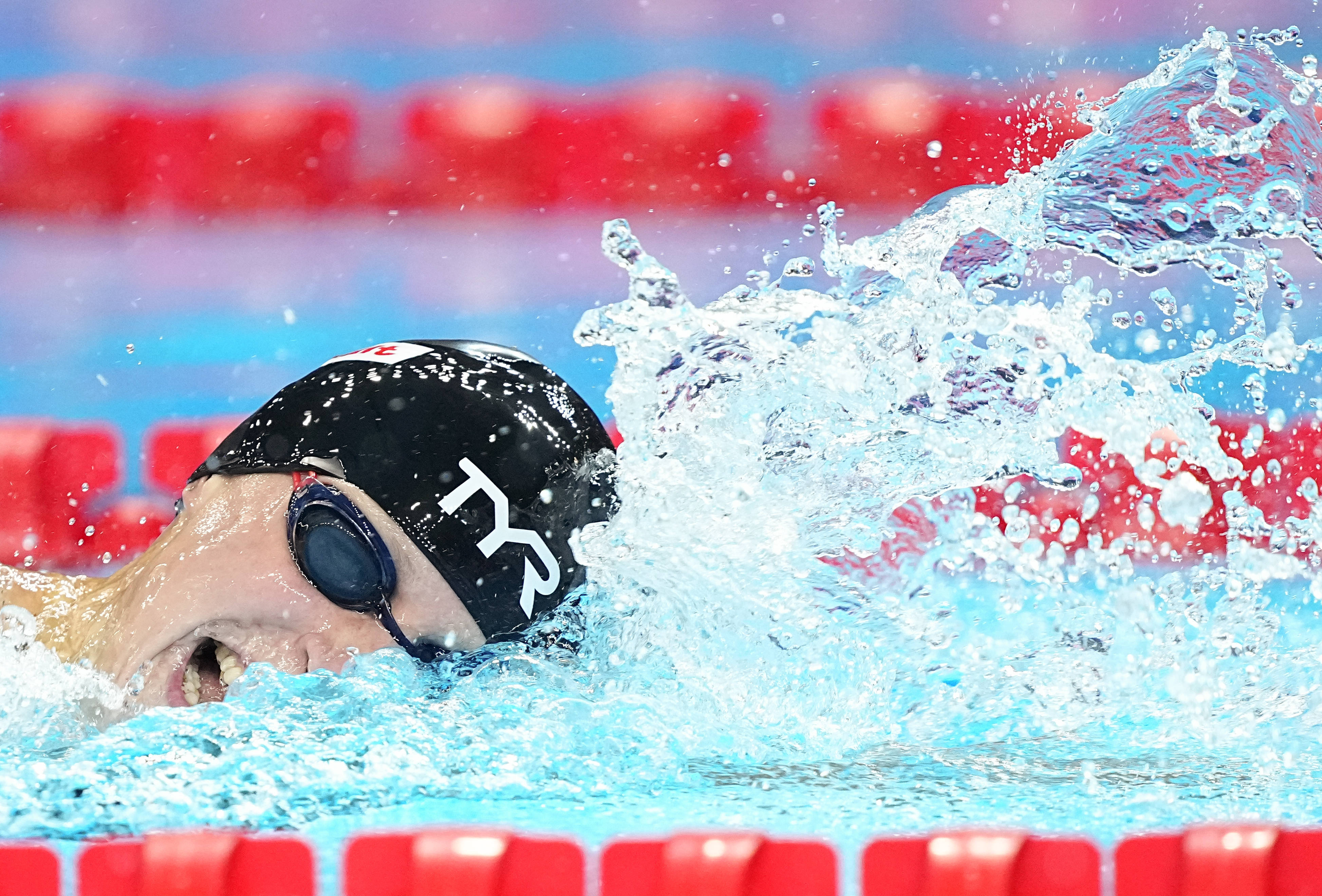 (游泳世锦赛)游泳——女子1500米自由泳决赛赛况