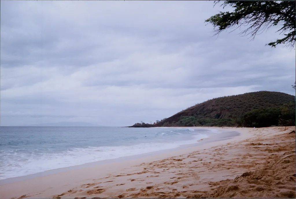 8.7级强震<strong></p>
<p>中原油田官网</strong>,海啸已到日本!福岛第一核电站发出避难指示,中领馆紧急提醒