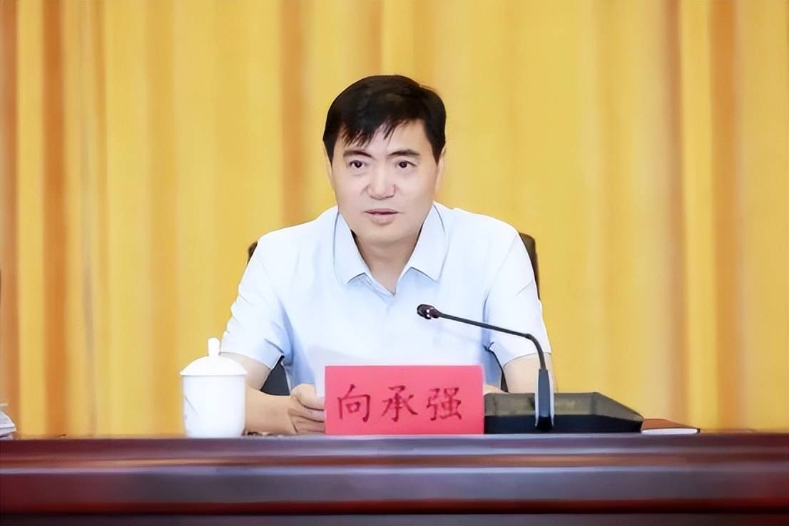 中央巡视期间<strong></p>
<p>西原油</strong>，3名正厅任上被查