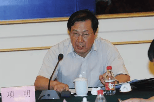 项明，终身监禁