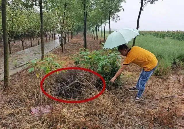 山西女教师新婚8个月遇害！警方掘坟提取DNA<strong></p>
<p>西原油</strong>，丈夫被判无罪后再受审