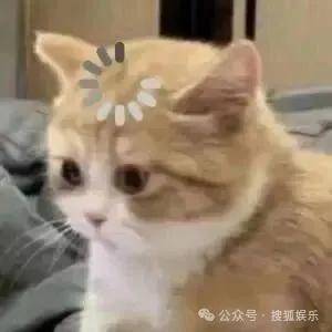 离婚三年又被拍到亲密逛超市<strong></p>
<p>抓原油</strong>，他俩这是纯带娃还是真复合了？