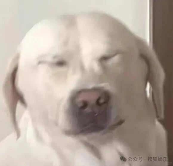 离婚三年又被拍到亲密逛超市<strong></p>
<p>抓原油</strong>，他俩这是纯带娃还是真复合了？