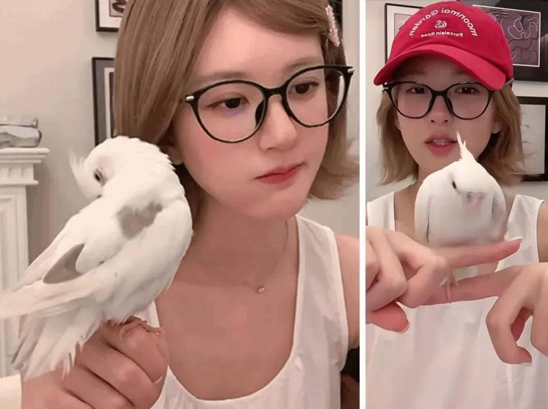 怒撕经纪公司后赵露思开启直播<strong></p>
<p>原油波</strong>，同款花卷、包包都卖爆