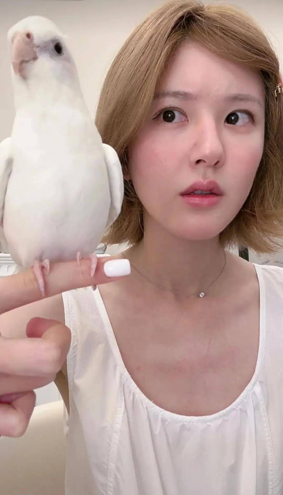 怒撕经纪公司后赵露思开启直播<strong></p>
<p>原油波</strong>，同款花卷、包包都卖爆