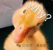 从爆红到突然消失好几年<strong></p>
<p>今天原油走势</strong>,再出现已经胖到大家不敢认了?