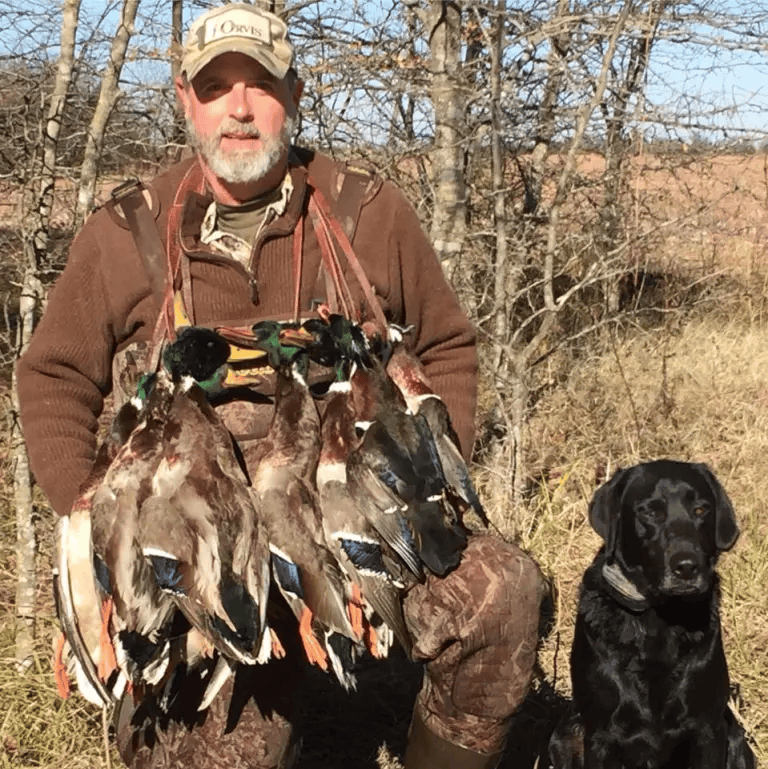 美国百万富翁在南非参加高端付费狩猎活动<strong></p>
<p>今天原油走势</strong>,被水牛顶死