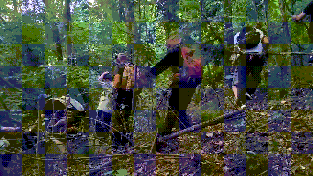 紧急寻人<strong></p>
<p>太原油墨厂</strong>!男童参加夏令营山上走失!最新进展→