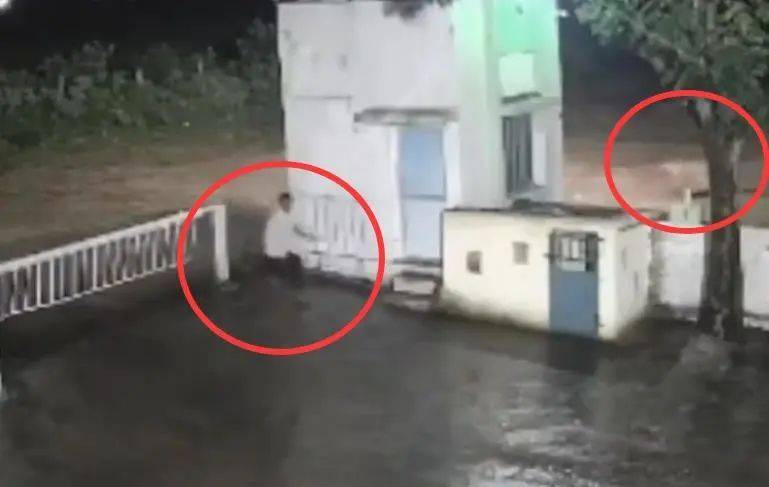 印度一男子后院与狮子相逢<strong></p>
<p>美原油指</strong>,双方都被吓懵,狮子扭身先逃