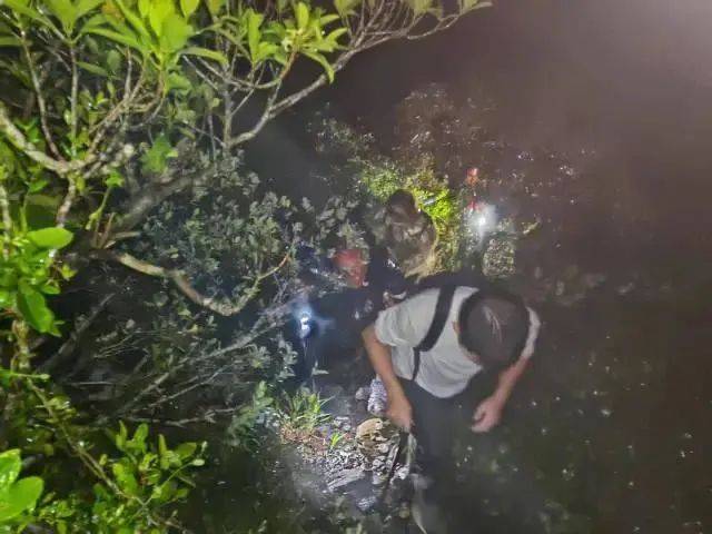 每人罚款5000元<strong></p>
<p>原油股票代码</strong>!深圳开出全国首张罚单