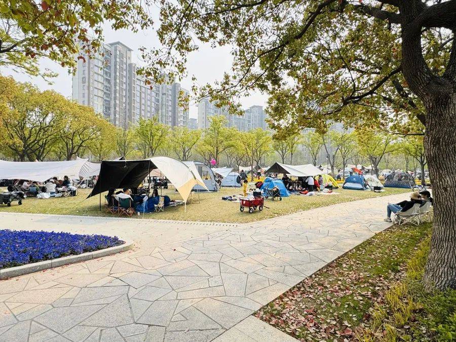 上海明确：不得随意以安全为由禁止<strong></p>
<p>原油股票代码</strong>，尽量扩大范围！此前争议不断