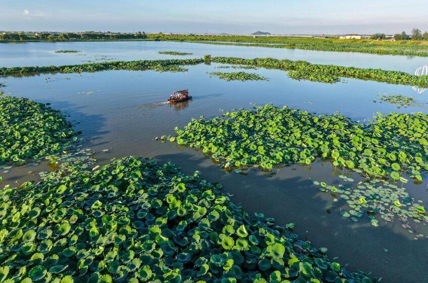 安徽庐江：乡村音乐会 艺术进景区