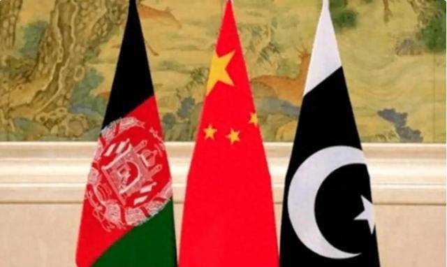 塔利班明确表态<strong></p>
<p>原油期货行情实时行情</strong>,他们绝不听命于美国,中国出手,这2国都安心了