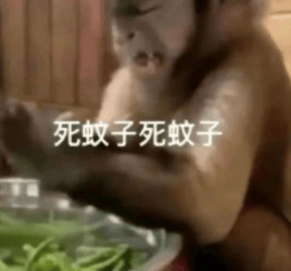 能不能让蚊子彻底灭绝啊？科学家：正在努力