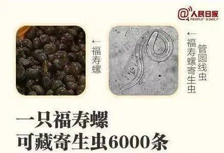 别吃!寄生虫多达6000条!浙江一地大量出现<strong></p>
<p>原油大跌原因</strong>,看到立刻上报