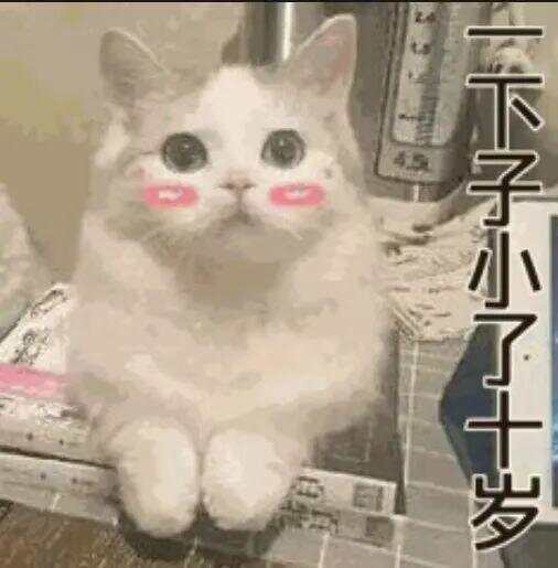 79岁老伯为见其相亲对象“翠花”<strong></p>
<p>今日原油国际价格</strong>,将身份证改小10岁 被发现后不忘叮嘱民警“能不能不告诉她”