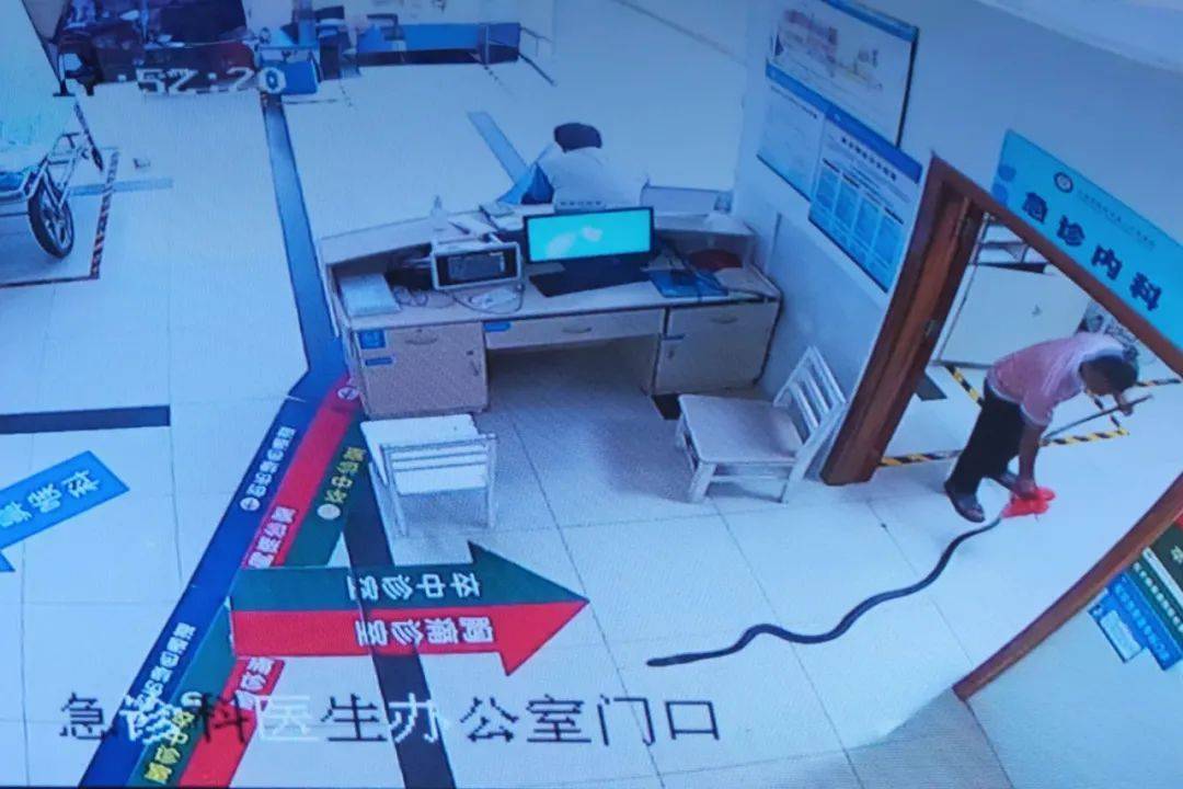 眼镜王蛇咬伤老人<strong></p>
<p>黄金国际价格</strong>,家属拖两米多长的“凶手”冲进医院!“拎蛇就医”可取吗?