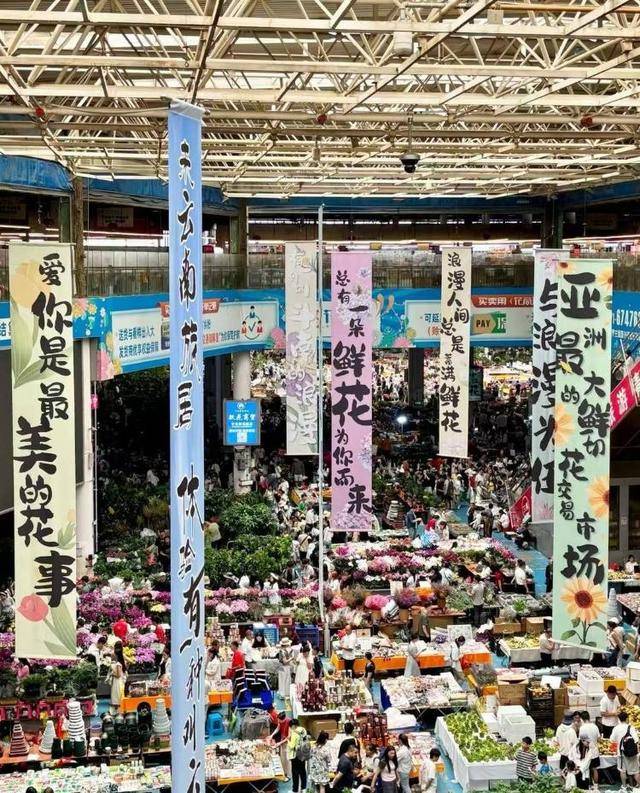 七夕不送玫瑰改送花菜<strong></p>
<p>黄金</strong>!这一届年轻人“反套路”重新定义浪漫