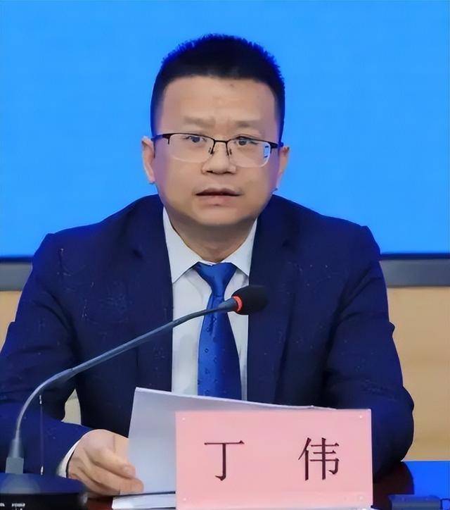 4位副市长履新，卸任两年后他再任此职