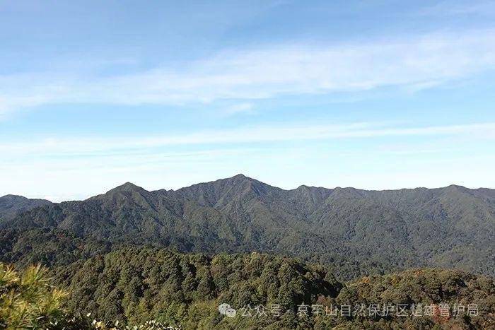 云南哀牢山新规出台:禁止任何单位和个人擅入哀牢山自然保护区<strong></p>
<p>icu</strong>,从事科研活动须报批