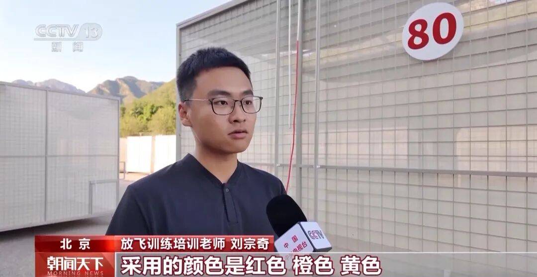 明天将放飞8万羽和平鸽、8万只气球<strong></p>
<p>icu</strong>，揭秘！