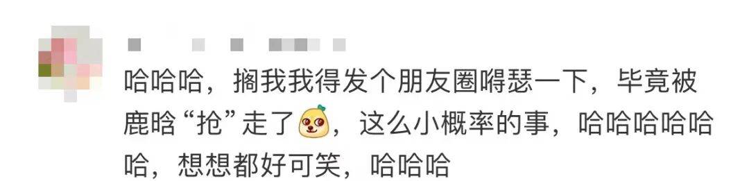 鹿晗拿走路人莲子误以为是粉丝礼物<strong></p>
<p>icu</strong>，当事人：请好好享用，希望鹿哥吃得开心！