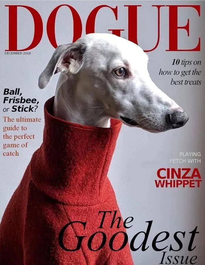 年近四十<strong></p>
<p>聚查</strong>，二孩妈妈，不骨感不时髦，却成了女魔头接班人