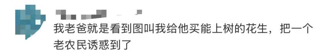 “花生上树”闹剧：AI翻车背后<strong></p>
<p>剧场</strong>，我们都在弄丢常识？